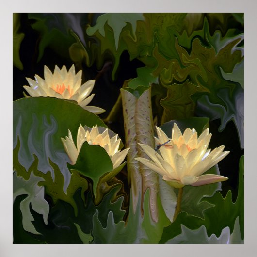 妖精の池….. ポスター (正面)