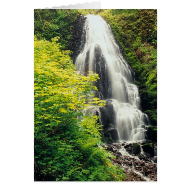 妖精の滝 (正面)