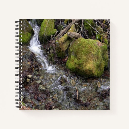 妖精の滝….. ノートブック (正面)