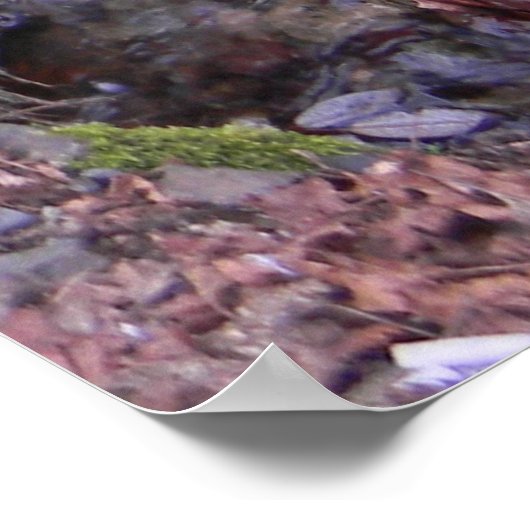 妖精の滝…... ポスター (角)