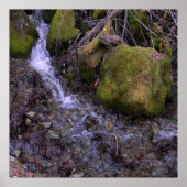 妖精の滝…... ポスター (正面)