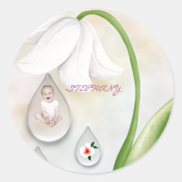 妖精の滴がステッカーを丸める ラウンドシール