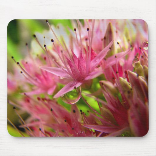 妖精の王冠 マウスパッド (正面)