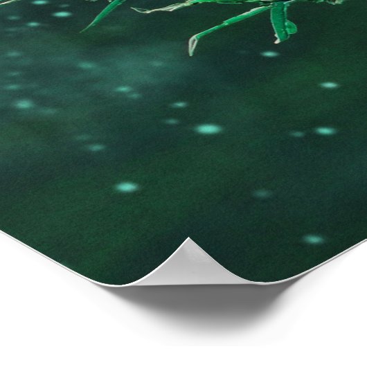 妖精の花の玉の月光 ポスター (角)