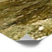 妖精の蝶 ポスター (角)