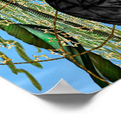 妖精の蝶 ポスター (角)