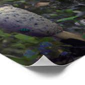 妖精の贈り物 ポスター (角)