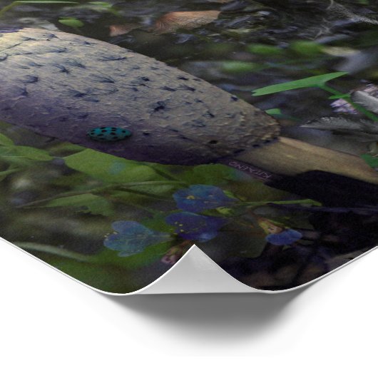 妖精の贈り物 ポスター (角)