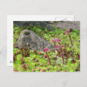 妖精の風景 ポストカード (正面/裏面)