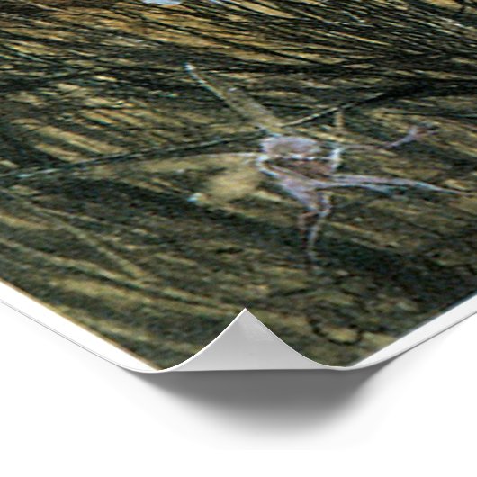 妖精の黄昏 ポスター (角)