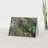 「妖精は家にいた」 カード (正面)