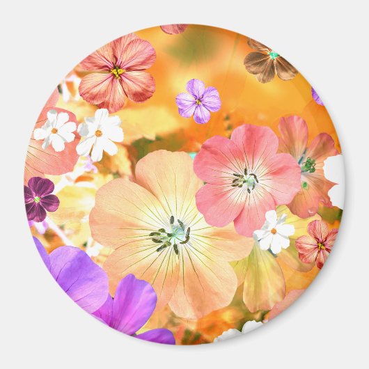 妖精は来間もなく出る マグネット (正面)