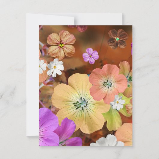 妖精は来間もなく1 ノートカード (正面)