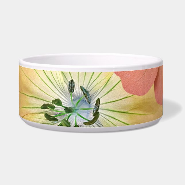 妖精は来間もなく1 ボウル (正面)