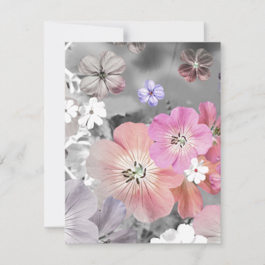 妖精は来間もなく2 ノートカード (正面)