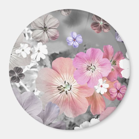 妖精は来間もなく2 マグネット (正面)