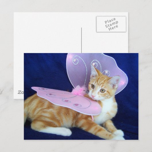 妖精は飛ぶ ポストカード (正面/裏面)