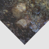 『妖精を見る』 by ビアトリス・ゴールドスミス 薄葉紙 (詳細)