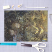 『妖精を見る』 by ビアトリス・ゴールドスミス 薄葉紙 (クラフト)