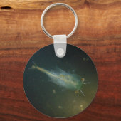 妖精エビ キーホルダー (正面)