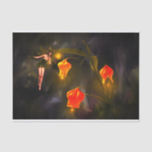 妖精ティッシュペーパー