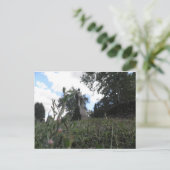 妖精ビュー ポストカード (スタンド正面)