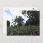 妖精ビュー ポストカード (正面/裏面)