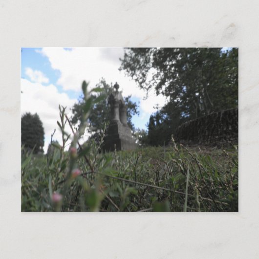 妖精ビュー ポストカード (正面)