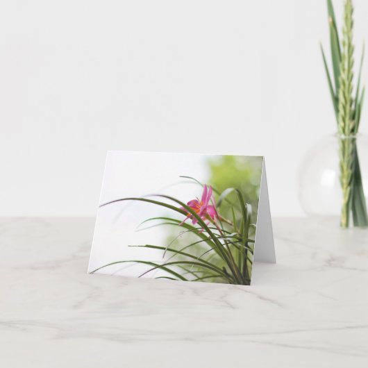 妖精ユリの魔法のメッセージカード カード (正面)