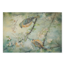 妖精ランド春フォレストバードNo2