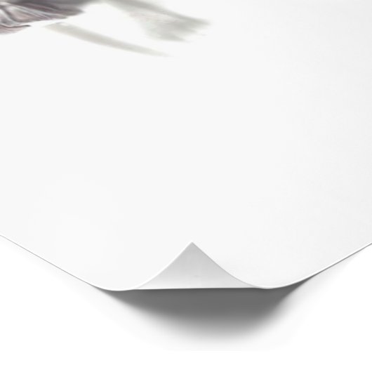 妖精6 ポスター (コーナー)