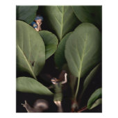 妖精7 ポスター (正面)