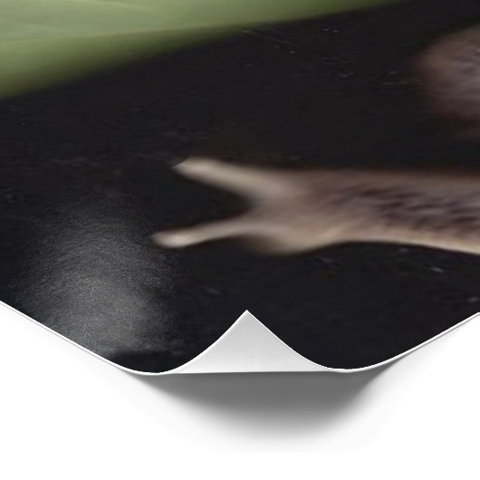 妖精7 ポスター (コーナー)