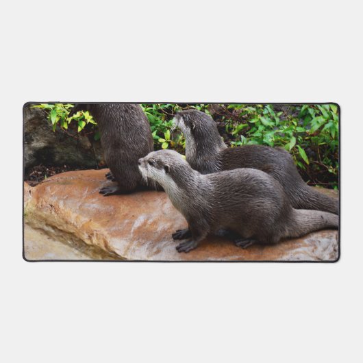 妙に楽しい小さな灰色のカワウソ デスクマット (正面)
