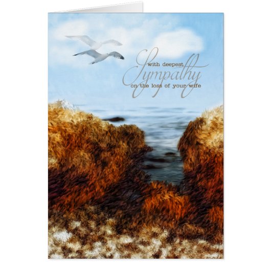 妻の喪失の悔やみや弔慰内航飛行 (正面)