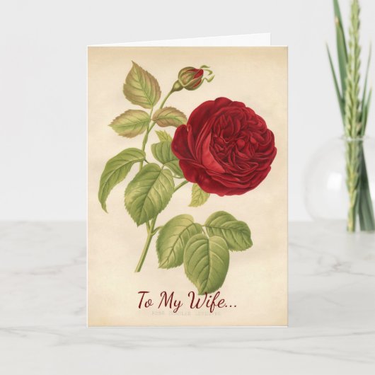 妻へのバレンタイン シーズンカード (正面)