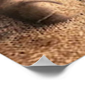 妻への愛の名言 | 最適で完璧なギフト ポスター (角)