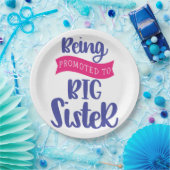 姉に昇進する ペーパープレート (パーティー)