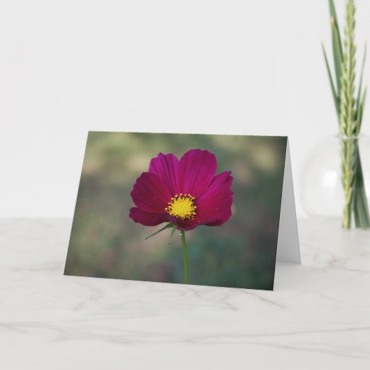 姉妹の完全な花 カード (正面)