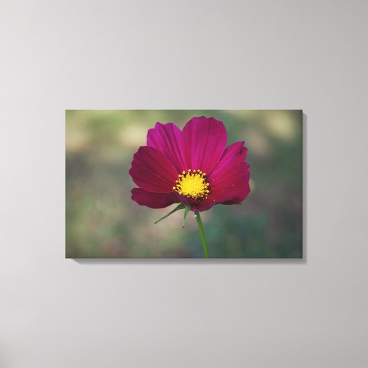 姉妹の完全な花 キャンバスプリント (正面)