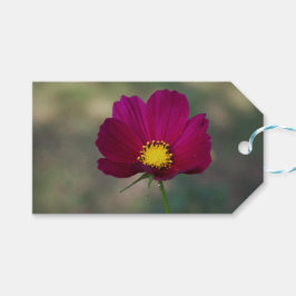 姉妹の完全な花 ギフトタグ