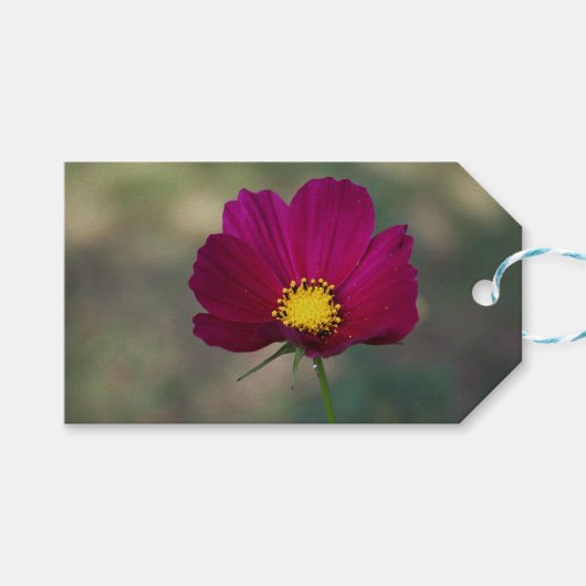 姉妹の完全な花 ギフトタグ (正面(横))