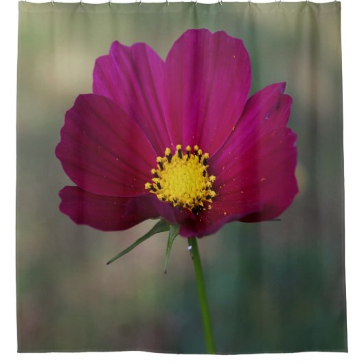 姉妹の完全な花 シャワーカーテン (正面)