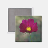 姉妹の完全な花 マグネット (正面/裏面)