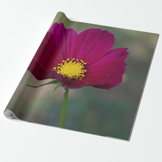 姉妹の完全な花 ラッピングペーパー (アンロールド)