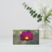 姉妹の完全な花 名刺 (スタンド正面)