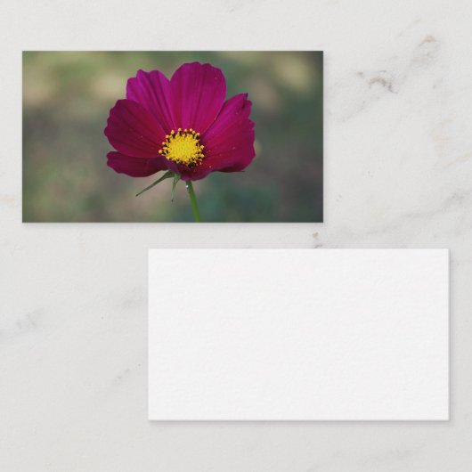 姉妹の完全な花 名刺 (正面/裏面)