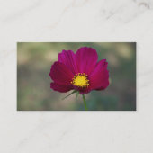 姉妹の完全な花 名刺 (正面)