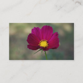 姉妹の完全な花 名刺