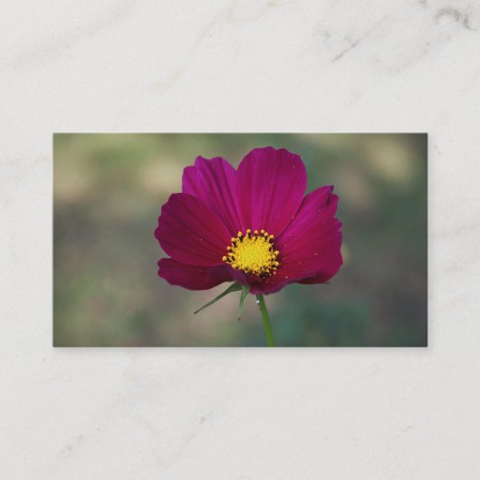 姉妹の完全な花 名刺 (正面)